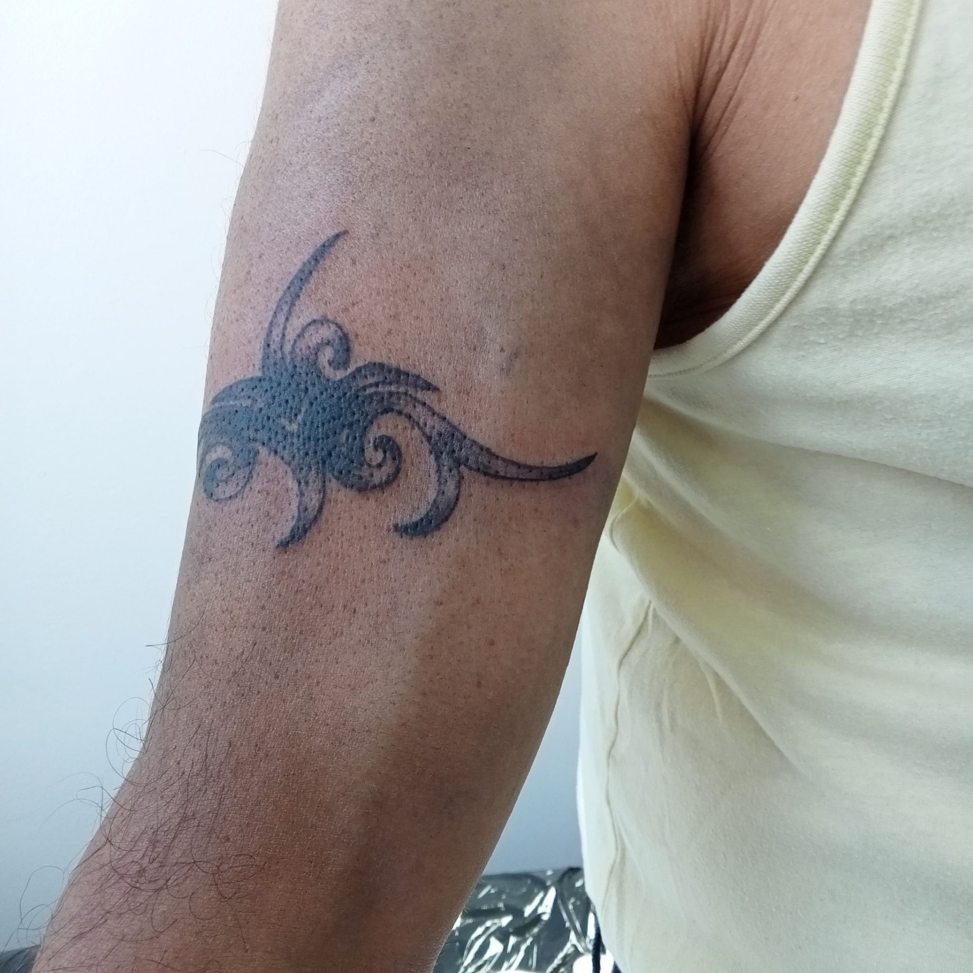cover tribal